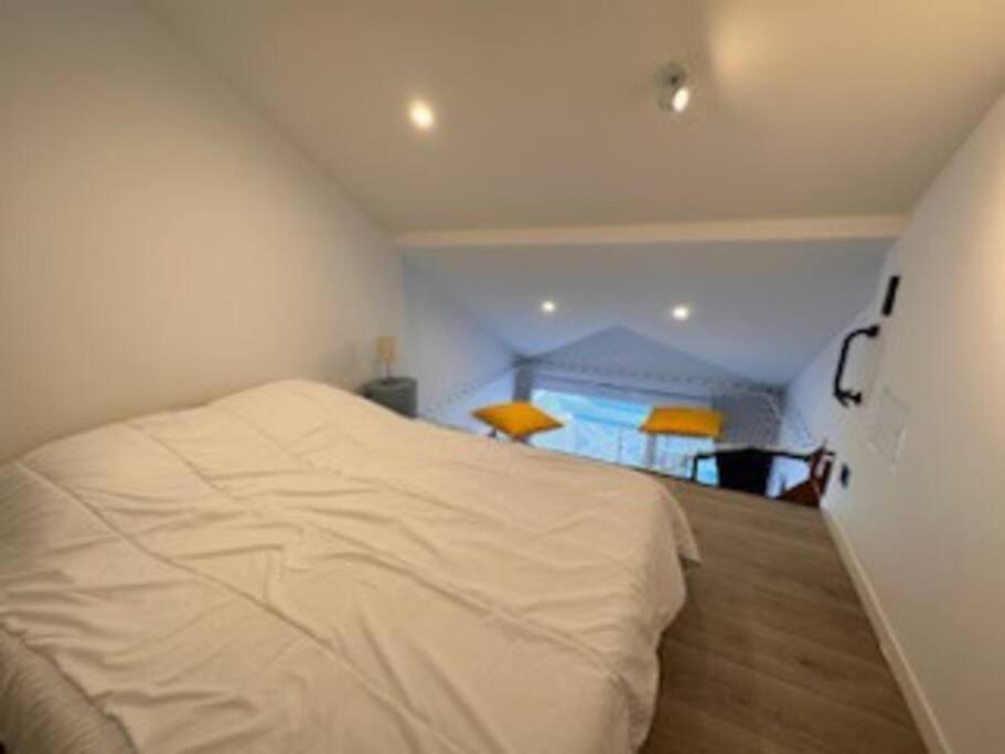 "Le Filet Du Lac" Appartement Atypique, 5 Personnes, Duplex, Vue Lac, Acces Parc Aquatique Gratuit Talmont-Saint-Hilaire ภายนอก รูปภาพ